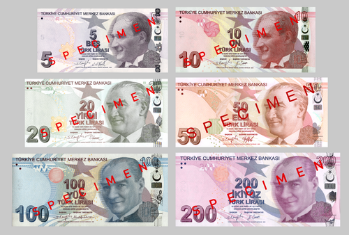 Turkish lira (TRY) banknote