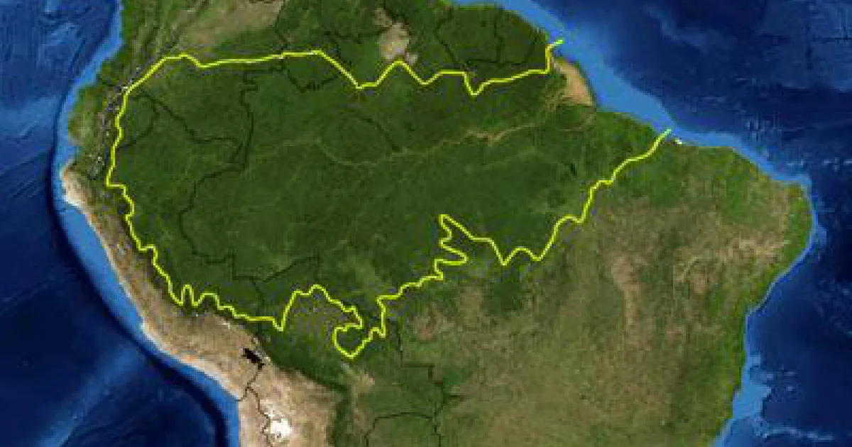 Forests & Biomes